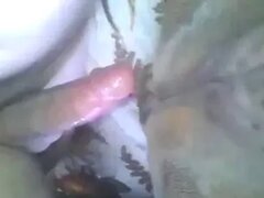 Zoo Sex Lol