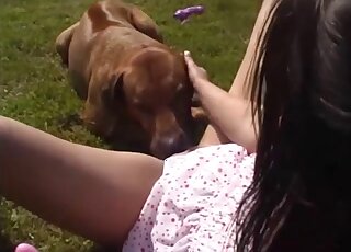 Busty mademoiselle is sucking a massive doggy penis