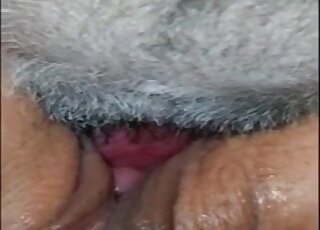 Masked angel is licking her doggy penis with pleasure