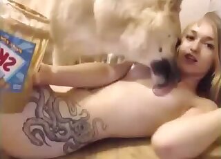 Small-boobed blondie orgasming with animals