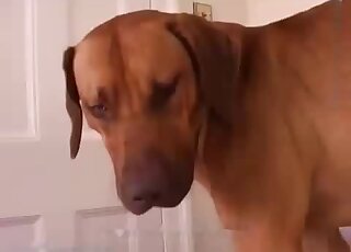 Tight coochie getting filled with lots of hot semen