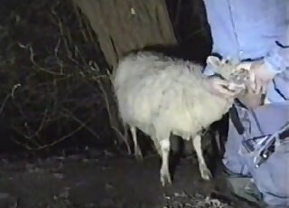 Flawless farm animals and sheep all fuck hard