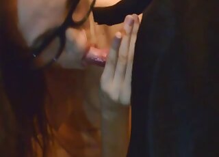 Playful beauty in sexy glasses worships dog dick