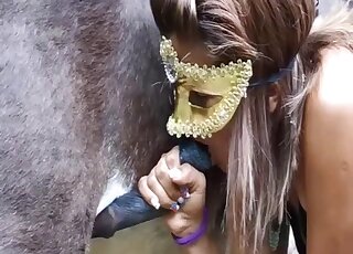 Terribly appealing women find a horse to fuck