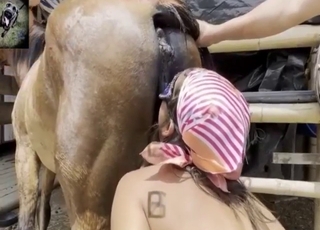 Horse fucking, bestiality sex, sensational gape