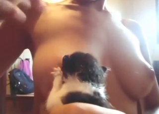 Zoo XXX with a tiny kitty licking her tits hard