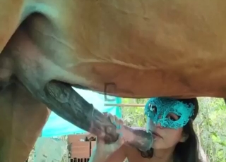 Zoophile porn shows a horse fucking her mouth