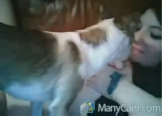 Filthy brunette enjoying hardcore dog fucking