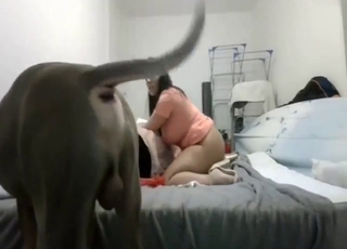 Slutty animal lover gets fucked on all fours