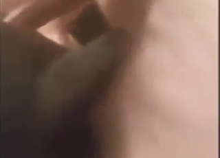 Dude dominates a dog's asshole from behind