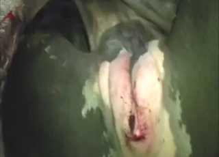 Good-looking animal is going to get fingered