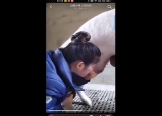 Girl from China sucking off a nice animal today