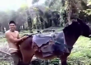 استأجر هذا الرجل لممارسة الجنس مع كل بغل يمكنه العثور عليه