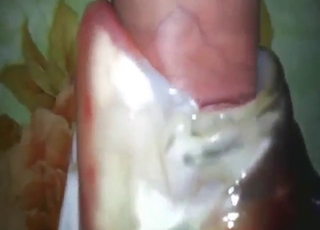 Sexy fish is going to get fucked orally today
