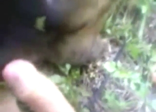 Un animale nero verrà scopato da un tizio