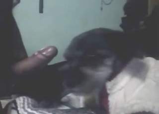 Zoo XXX with a sexy animal that licks hot penis