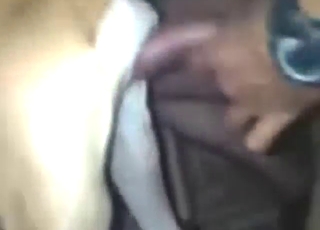 Dude with big balls dominates a sexy animal