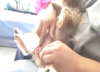 Hot animal gets a nice handjob, it's crazy to see