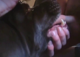 Dude has a black dog sucking off his nice cock