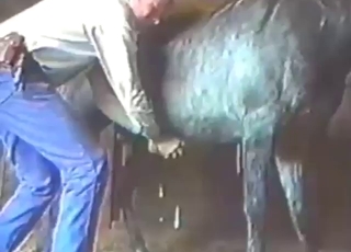 Dong of a sexy stallion shooting out hot semen