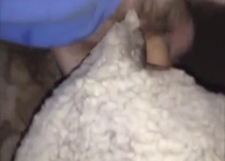 Dudes have a sheep hole he wants to dominate