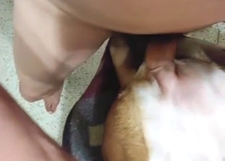 Dog-fucking alpha male is going to tear it up