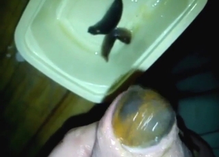 Zviera bude navždy žiť v predkožke