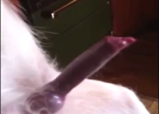 Dog's stiffie does look incredible in this scene