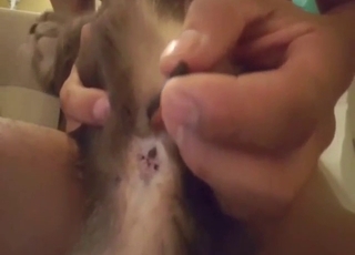 Hot cat fuck with close-ups, seductions, and more