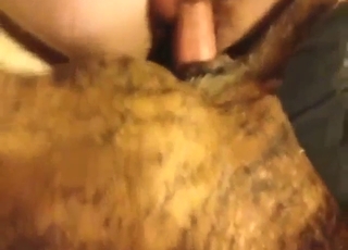 Anal fuck scene with a pitbull that gets ass-gaped