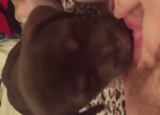 Puppy play with a juicy pussy and gorgeous ass