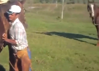 Fresh air, outdoor donkey vs mare fucking session