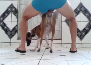 Zoo porn seduction with a sexy animal in HQ