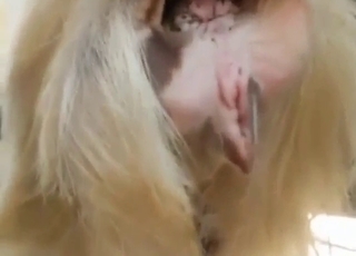 Sexual savagery with a guy who gapes animals