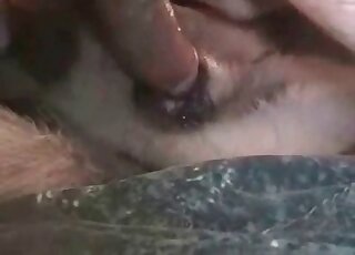 Dog gets fucked by a hung dude