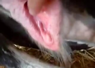 Close up