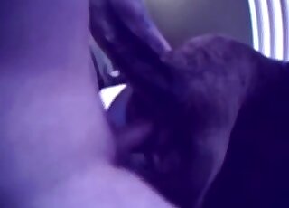 Dude teasing his dog with his cock