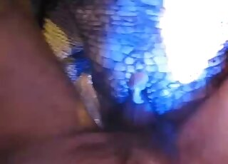 The cute animal is smelling and eating his hard penis