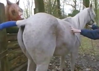 Sexy white pony is getting fucked in the doggy pose
