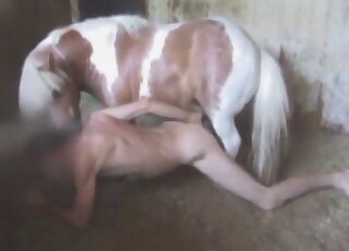 Small pony fucked her tight anus from behind