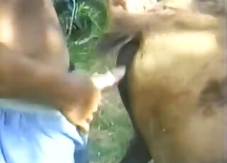 Hardcore farm animal porn bestiality XXX session