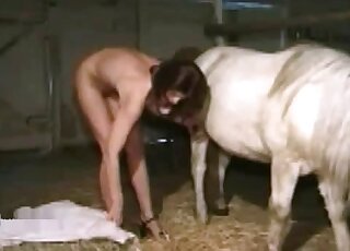 Aroused pony dirty sex